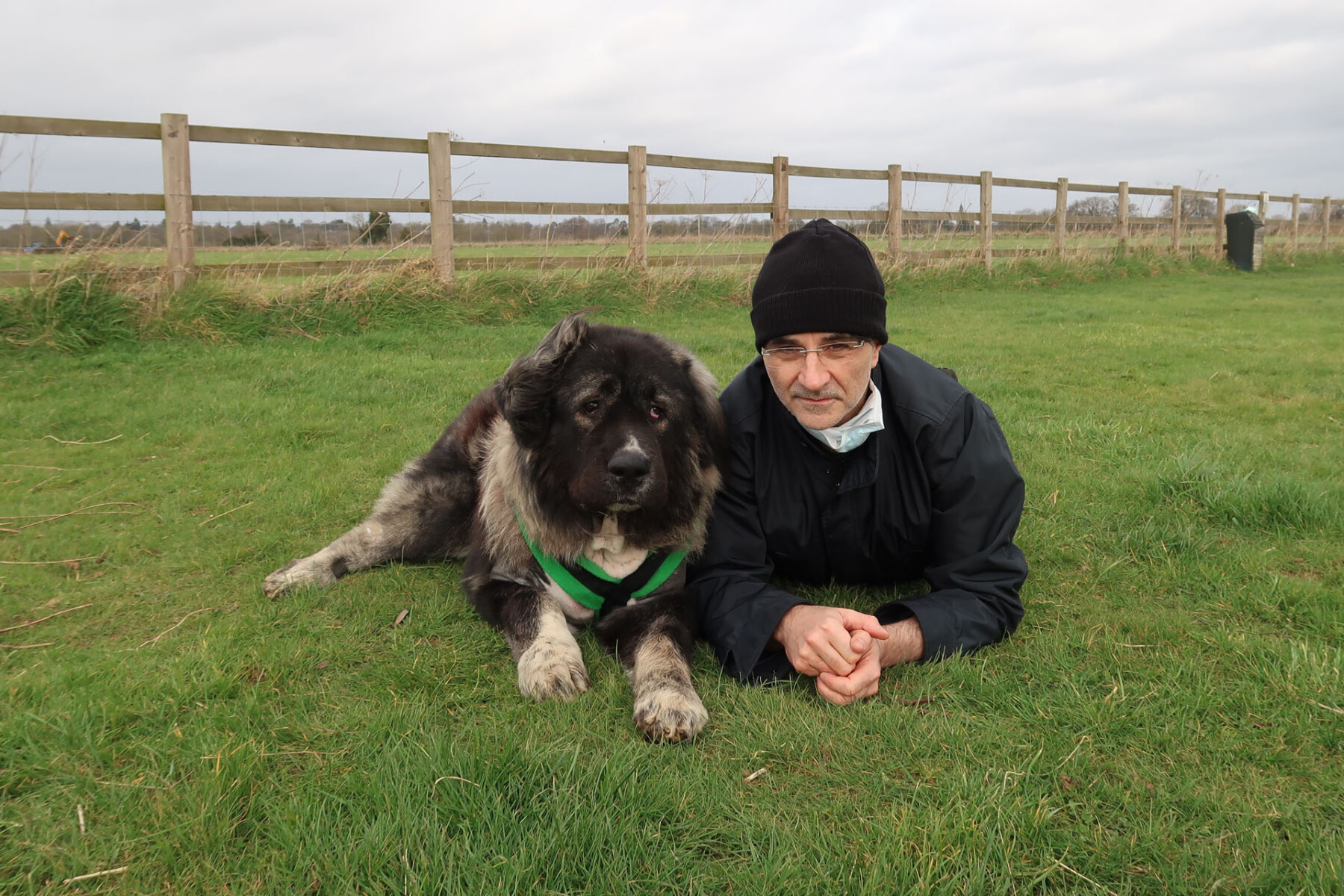 Odin and Noel Fitzpatrick laying on the grass